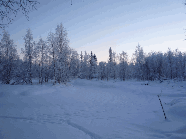 Aventure en Laponie